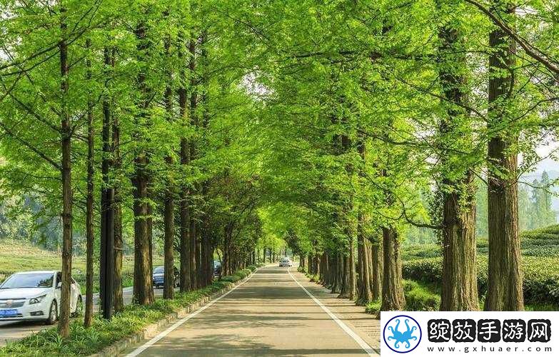 深圳玖玖玖人力资源有限公司咋样
