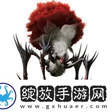 怪物猎人荒野刺花蜘蛛如何组建最佳蜘蛛猎人阵容