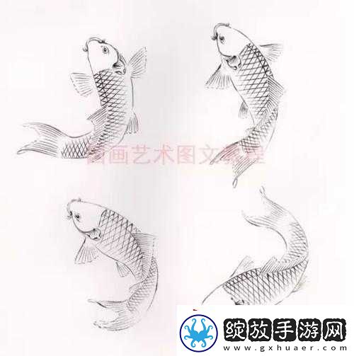 鲤鱼吸水怎么练的图片视频