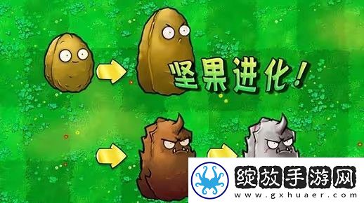 植物大战僵尸射击版坚果怎么样