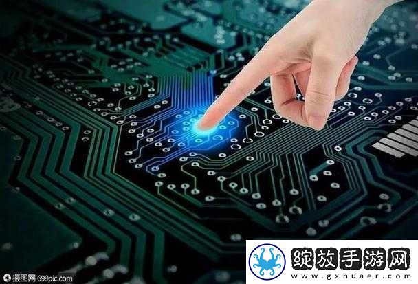 成都香蕉草莓科技有限公司
