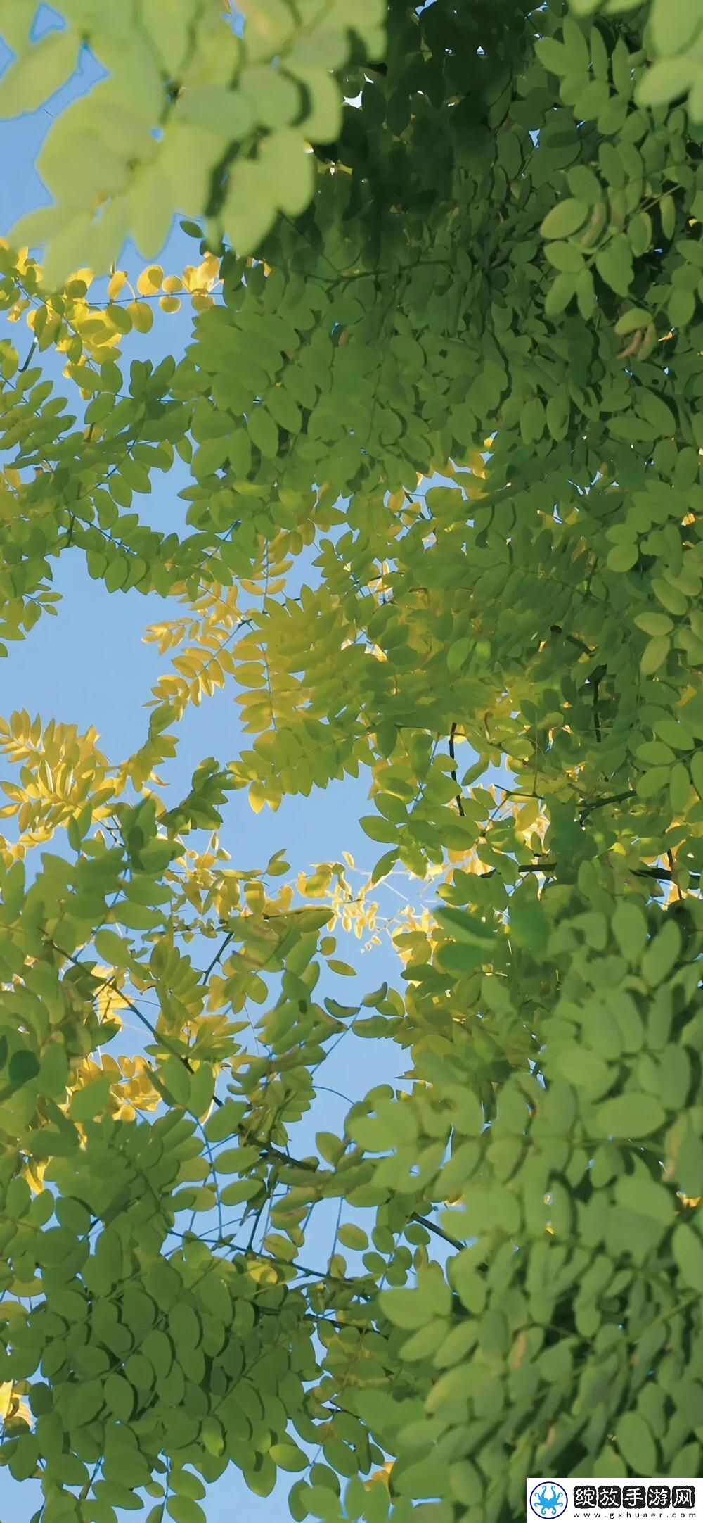 “哇这不是传说中的WallpaperEngine手机版吗”