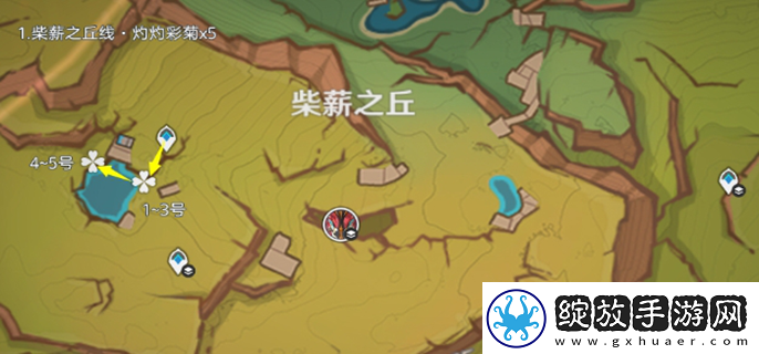 原神灼灼彩菊哪里多