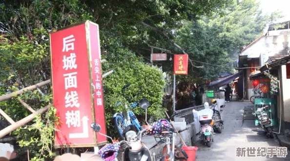 XX69日本＂网友评价