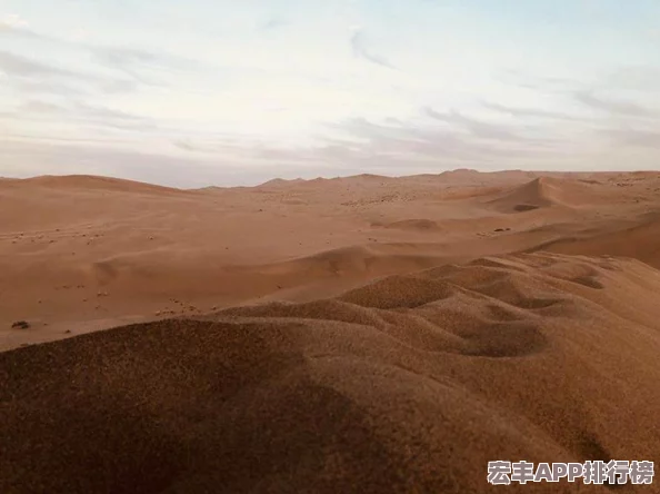 阴阳师手游速成秘籍