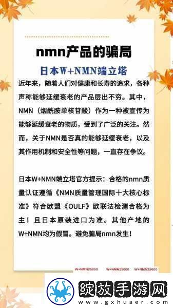 探索上古传说的神秘世界