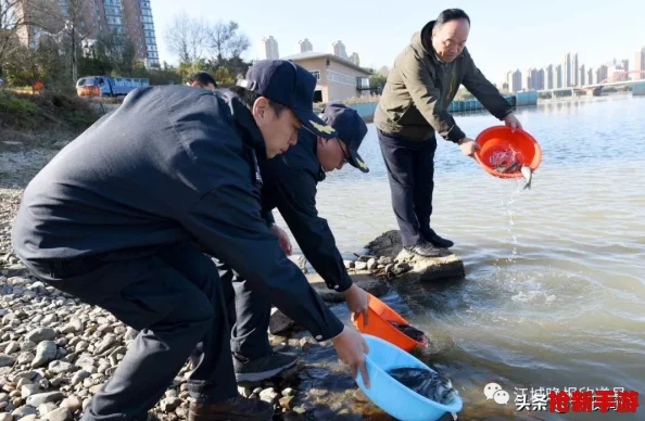 水域霸主之路
