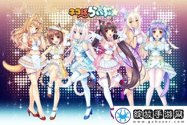 和猫娘拔萝卜