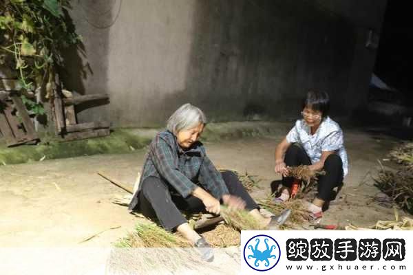 耕耘大婶的肥沃的土地