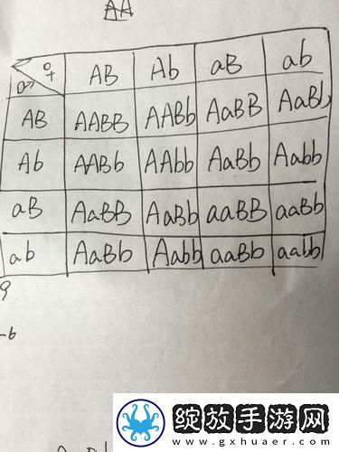 AABB与AAAA的差异