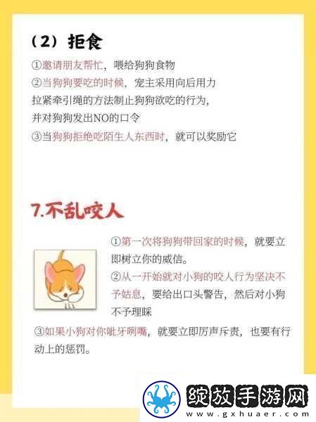 篮球队的公共玩具正伟