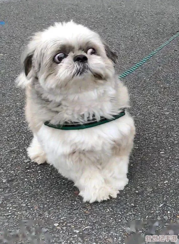 男生女生在一起嗟嗟嗟原声引发热议