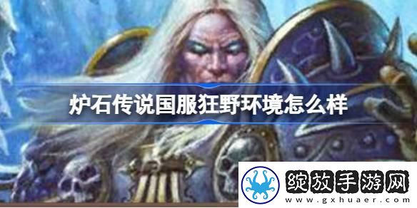 炉石传说国服狂野环境怎么样