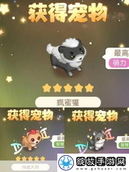 夜晚玩耍生活!动画预告及主题曲燃爆发布