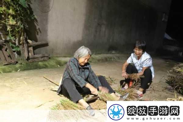 耕耘大婶的肥沃的土地