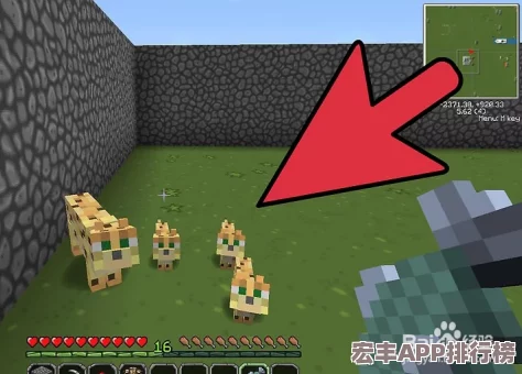 掌握我的世界