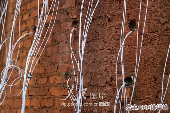 CF手游新年广场爆破战术革新