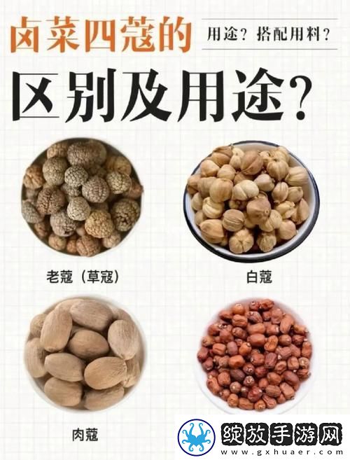 “深入了解BBBBB和BBBBBB的用法和作用”