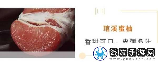 蜜柚1.6.6