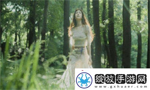 家族轮换中的责任与传承