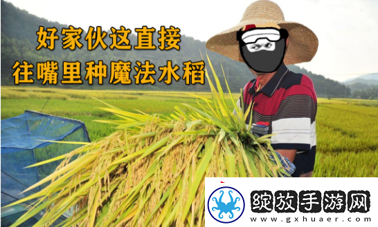 往嘴里种水稻是什么梗络用语