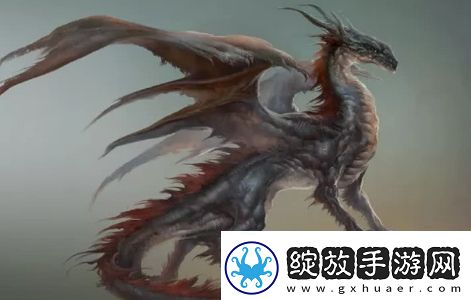 龙系长相是什么梗络用语
