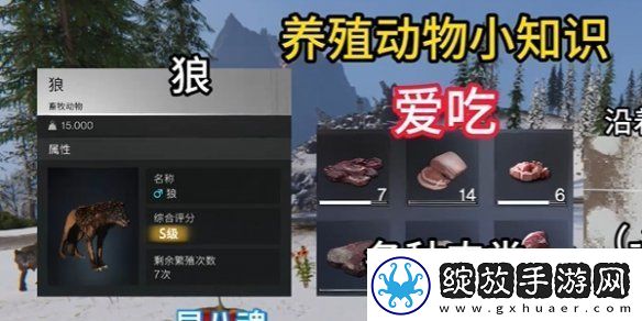七日世界养殖什么动物