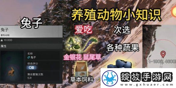 七日世界养殖什么动物