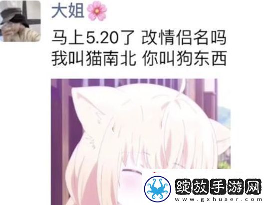 猫南北狗东西是什么梗络用语