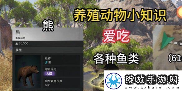 七日世界养殖什么动物
