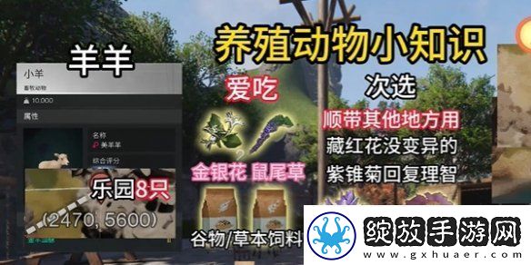 七日世界养殖什么动物