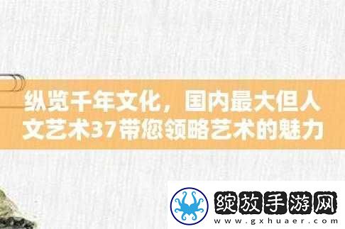 37大但人文艺术公司