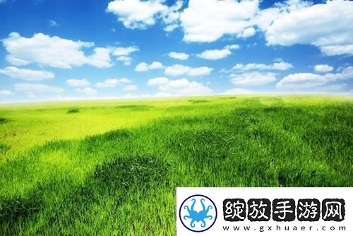 绿意盎然“踩雷”现场