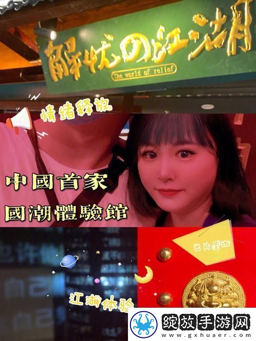 深入探讨GOGOGO中国版观众反馈中的亮点与不足