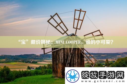 “宝”藏价揭秘