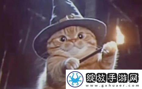 魔法猫猫是什么梗网络用语