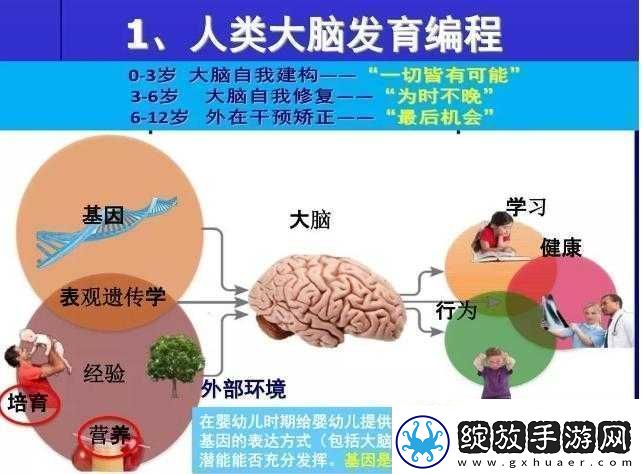 探索暴走武侠全角色成长之路