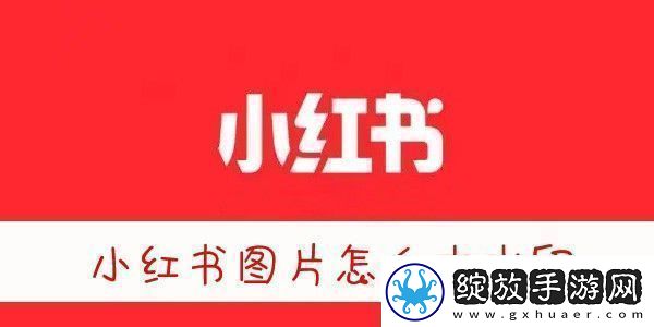 小红书图片无水印保存方法小红书图片怎么去水印保存