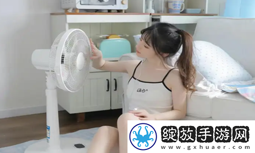 成品网站源码入口隐藏通道