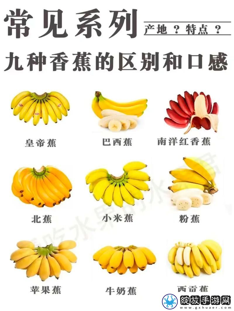 国产香蕉和进口香蕉的价格比较