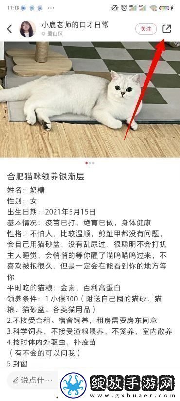 小红书图片无水印保存方法小红书图片怎么去水印保存