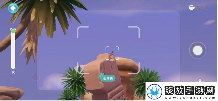 心动小镇海鸥在哪