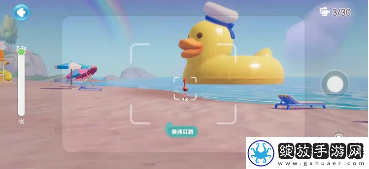 心动小镇海鸥在哪
