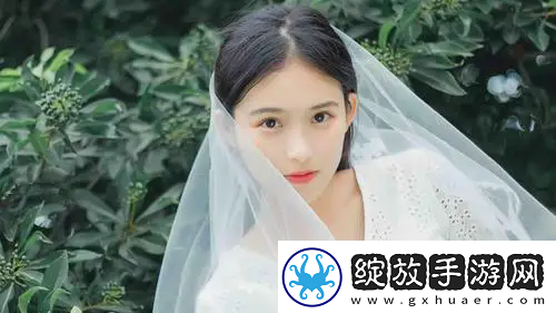 17少女哔哩哔哩观看