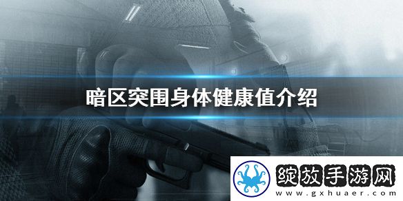 暗区突围身体构造有哪些