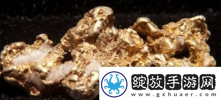 含金量还在上升是什么梗络用语