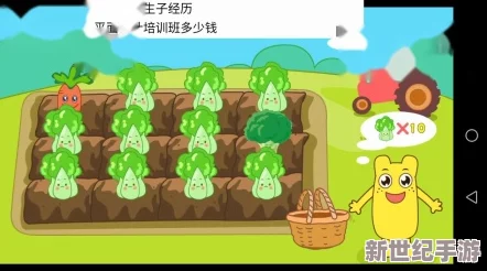 拔萝卜黄降9.1