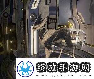 Warframe库娃与星际战甲的猫