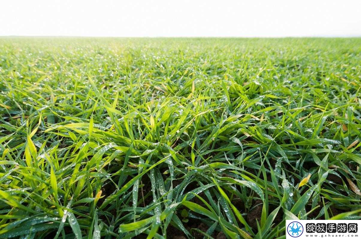 了不起的修仙模拟器种植系统解析