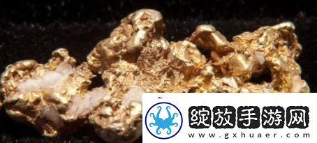 含金量还在上升是什么梗络用语